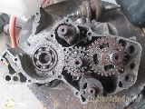Dtr 125