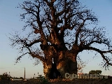 Arquitecto - Portugal + CPLP 