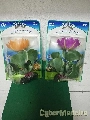 PLANTAS DA ROCHA