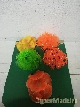PLANTAS  REDONDAS C/BASE PEQ.