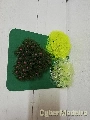PLANTAS  REDONDAS C/BASE GRANDE