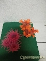 PLANTAS DIVERSAS TRONCOS