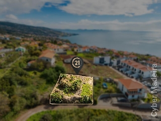Terreno Outros para Venda Gaula, Fazenda