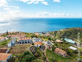 Terreno Outros para Venda Gaula, Fazenda