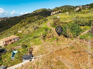 Terreno Outros para Venda Gaula, Fazenda
