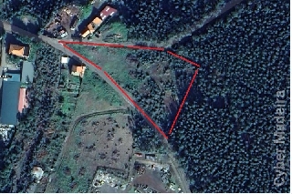 Terreno T0 para Venda Camacha, Achadinha