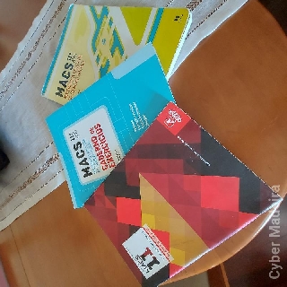 Manual e cadernos atividades Macs 11.°Ano 11º Matemática