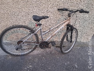 Bicicletas  Outros Homem Bicicletas