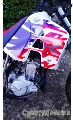 Honda CRM 50 R 50 cc Motocross 