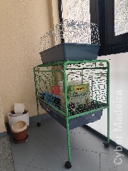 Gaiolas para Porquinhos da Índia/coelhos