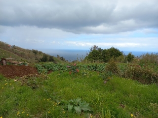 Terreno T1 para Venda
