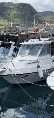 Fibramar 550 