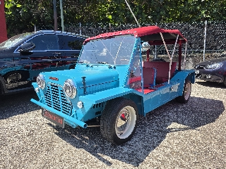 MINI MINI 745 Gasolina 70 