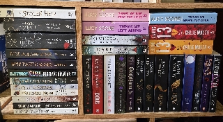 Livros em Inglês 