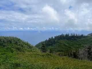 Terreno Outros para Venda 