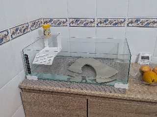 Vendo tartaruga e aquário