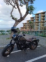 Honda Rebel Special Edition 500 cc Chopper, cruiser