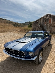 FORD MUSTANG 289 Hardtop Gasolina