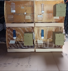 Gaiolas orinex usadas