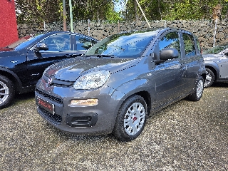 FIAT PANDA 1.0 HYBRID CITY LIFE Híbrido