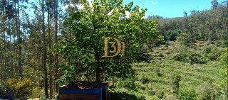 Terreno Outros para Venda