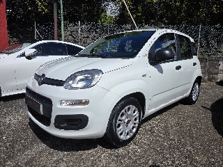 FIAT PANDA 1.2 EASY Gasolina