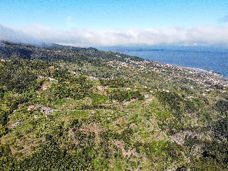 Terreno Outros para Venda
