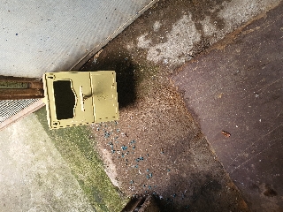 Vendo gaiolas para pássaros