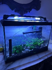 Vendo Aquario + Luz + Aquecedor + Filtro