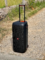 Vendo JBL PartyBox 310