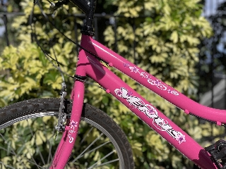 Outras Outros Menina Bicicleta para menina Astro 24