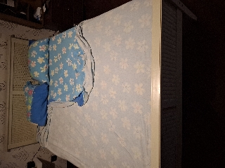 Cama+ colchão + forra da cama