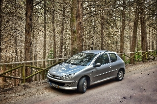PEUGEOT 206 1.4 Gasolina