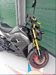 Honda MSX 125 cc Sport, turismo