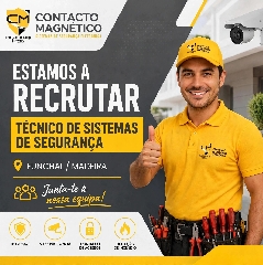 Técnico de sistemas de segurança