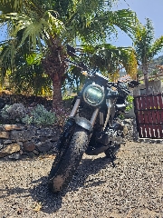 Honda Neo Cafe 300 cc Sport, turismo