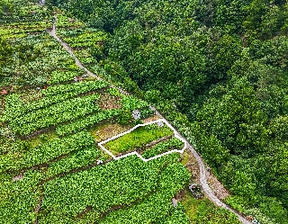 Terreno T3 para Venda