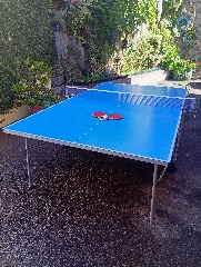 Mesa Pingpong sportzone