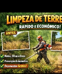 Limpeza de terrenos e espaços exteriores – Madeira