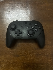 Nintendo Switch Pro Controller