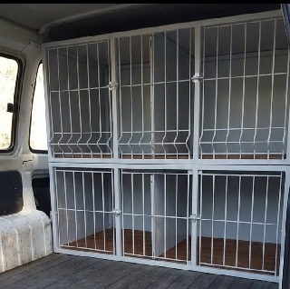Boxe transporte de cães