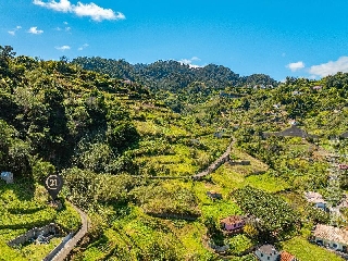 Terreno Outros para Venda Porto da Cruz, Massapez