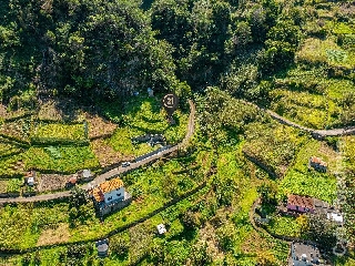 Terreno Outros para Venda Porto da Cruz, Massapez