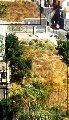 Terreno Outros para Arrendamento Caniço, Cancela